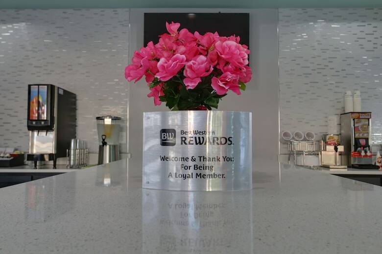 Motel Surestay Hotel By Best Western Calhoun South