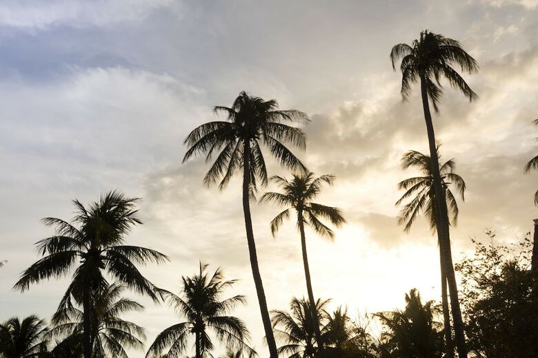 Hotel Dessole Beach Resort Muine