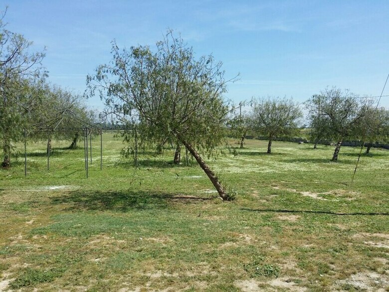 Agroturismo Il Mondo Dei Sogni