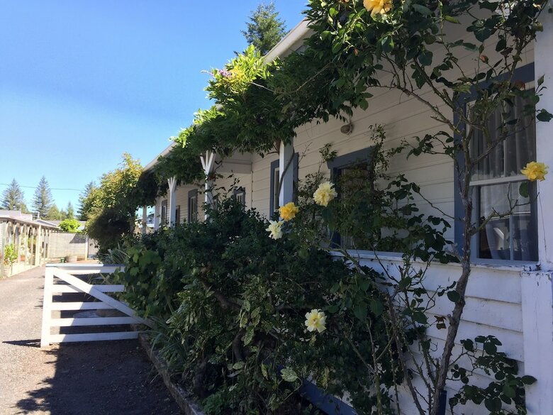 Hotel Tongariro Crossing Lodge