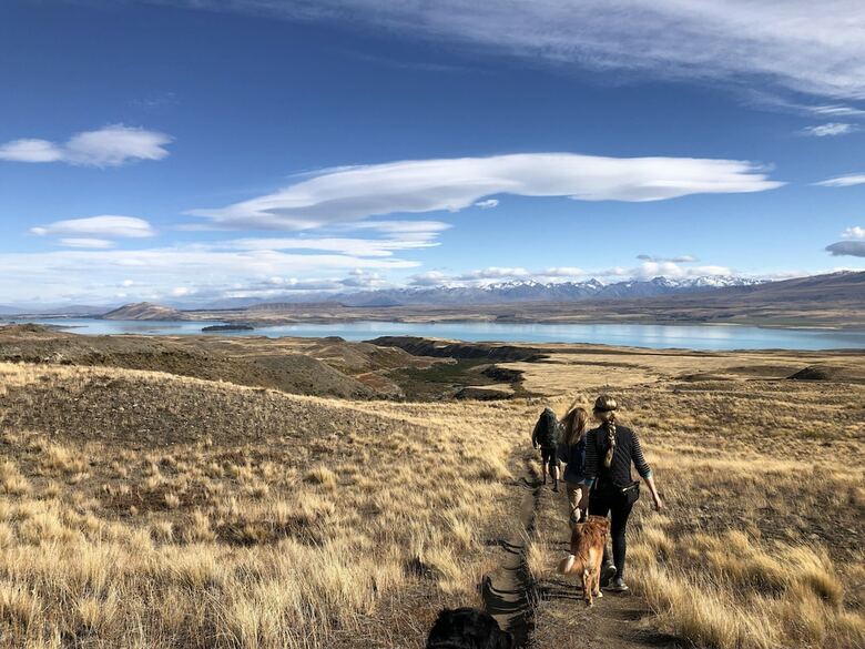 Hostal Tailor Made Tekapo Accommodation - Guesthouse & Hostel