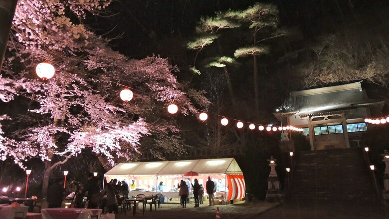 Apartamento Hotel Harvest Kinugawa