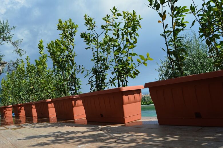 Apartamento Casa Sarticola