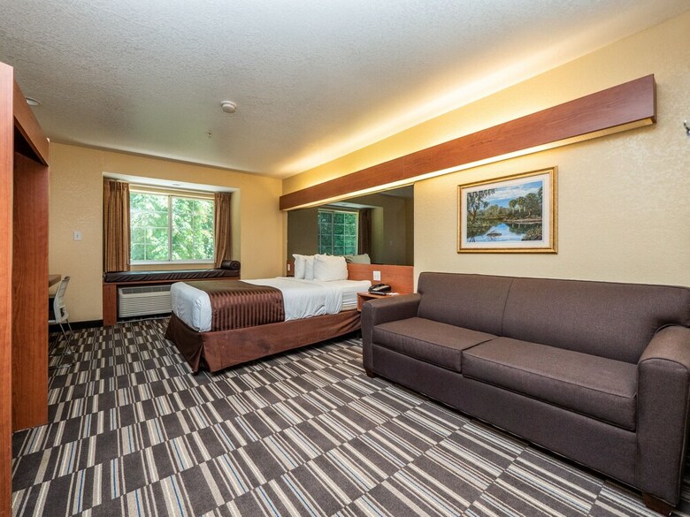 Hotel Microtel Inn & Suites By Wyndham Ocala