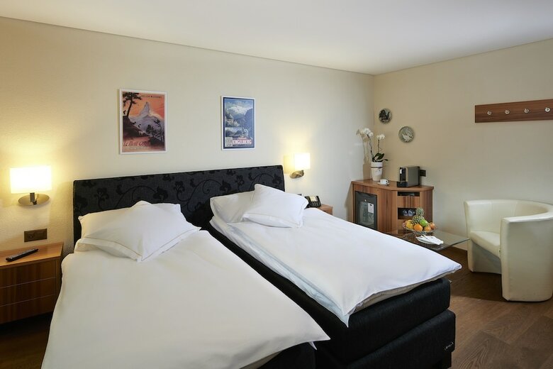 Hotel Ambassador Brig