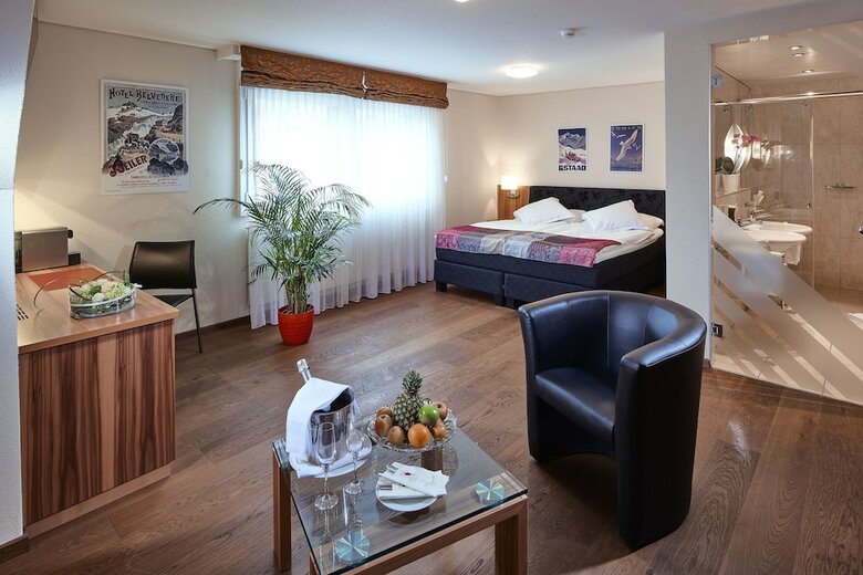 Hotel Ambassador Brig