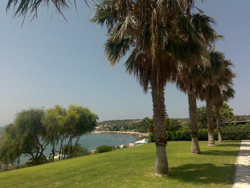 Apartamento Cyprus Studio