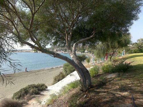 Apartamento Cyprus Studio