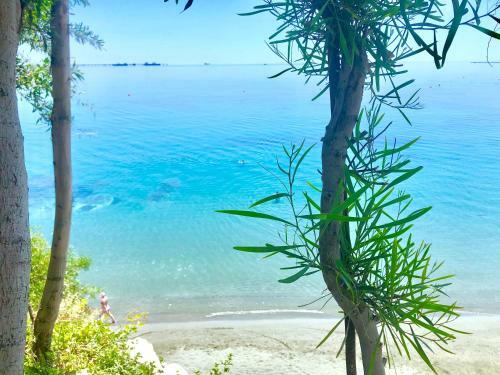 Apartamento Governor�s Beach Panayiotis