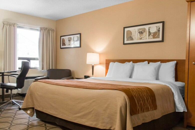 Hotel Comfort Inn East