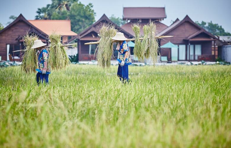 Hotel Farmer's Boutique Resort