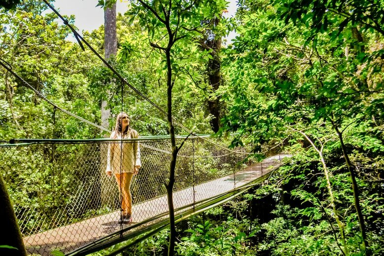 Hotel Jaguarundi Lodge