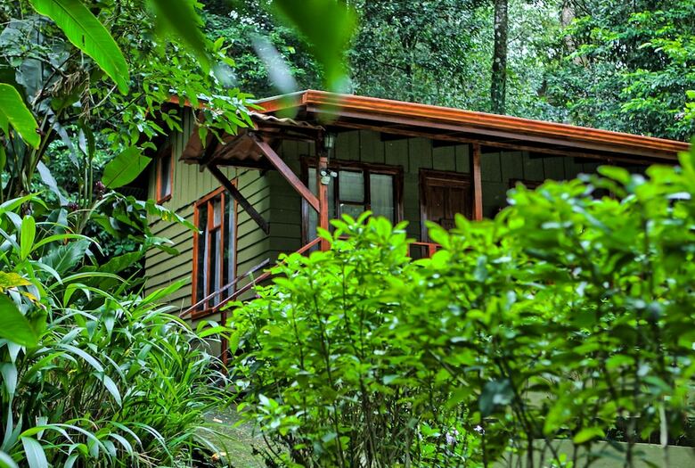 Hotel Jaguarundi Lodge