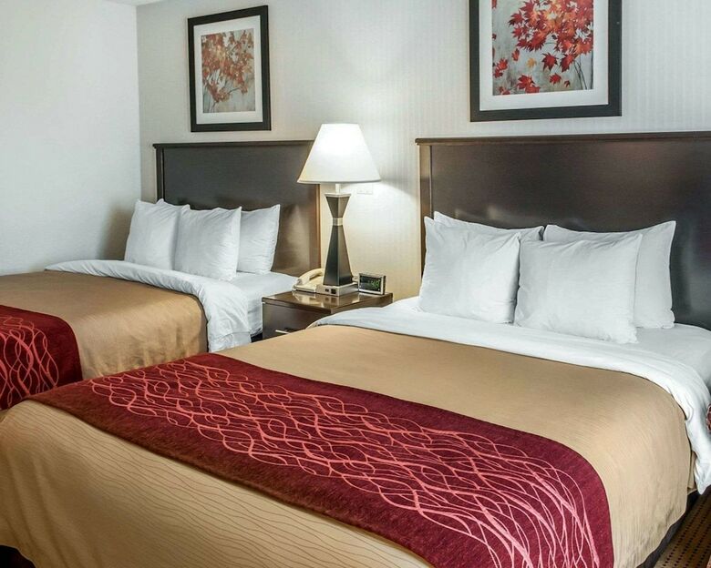 Hotel Quality Inn & Suites