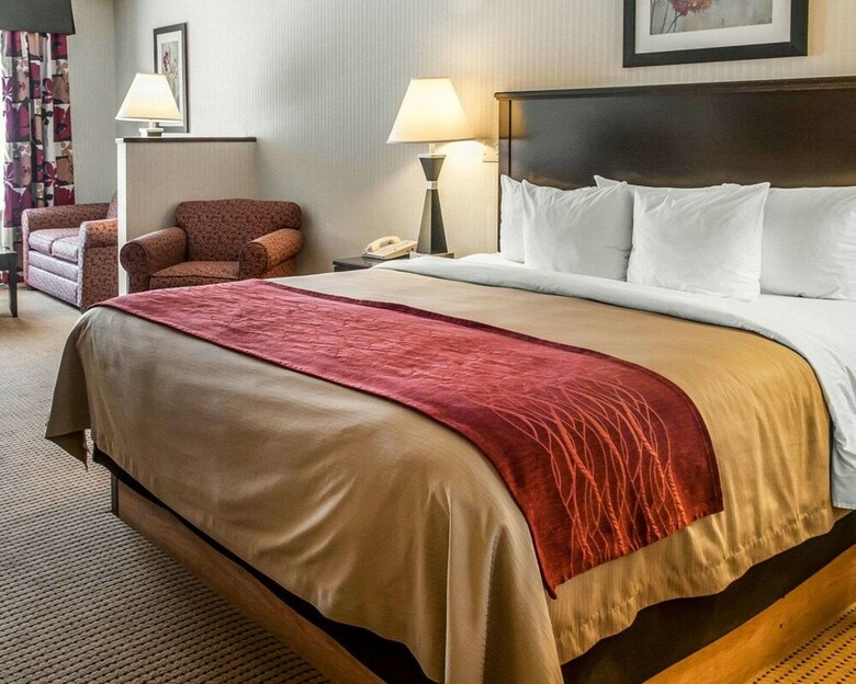 Hotel Quality Inn & Suites
