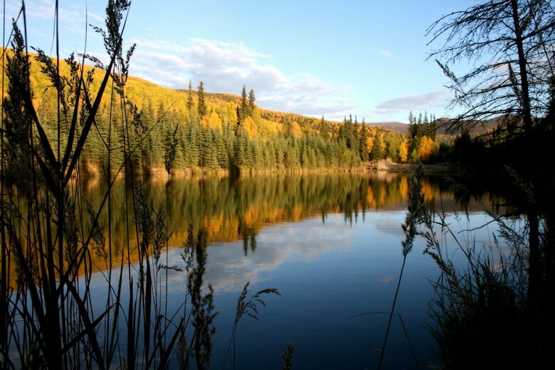 Apartamento Chena Hot Springs Resort