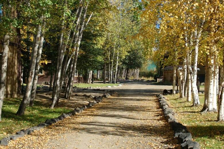 Apartamento Chena Hot Springs Resort