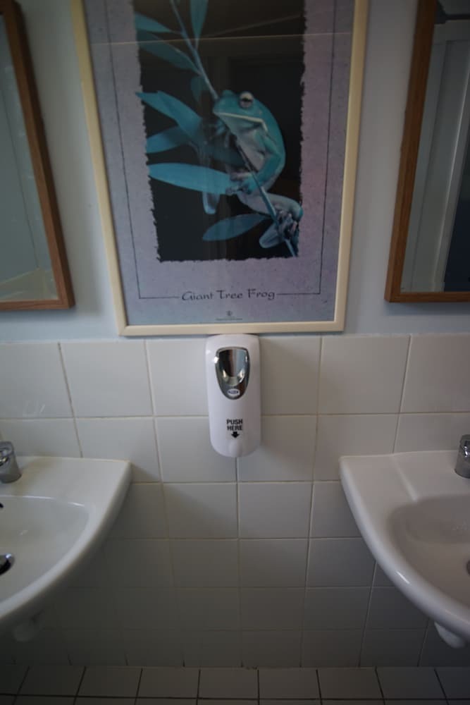 Hostal Geckos Backpackers Cairns - Hostel