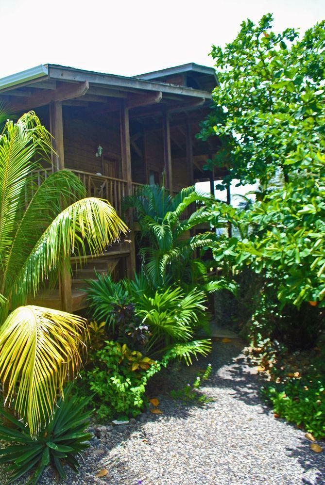 Hotel Cocolobo