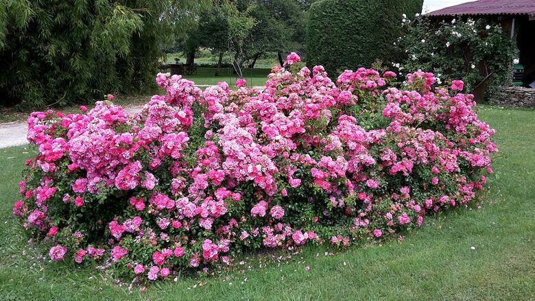 Bed & Breakfast Le Clos Lascazes