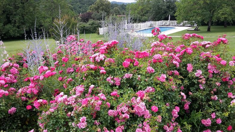Bed & Breakfast Le Clos Lascazes