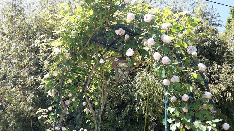 Bed & Breakfast Le Clos Lascazes