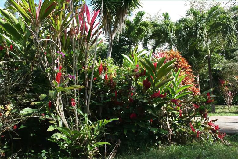 Oasis De Grande Anse