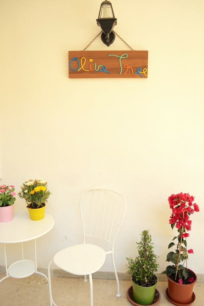 Hostal Olive Tree - Hostel