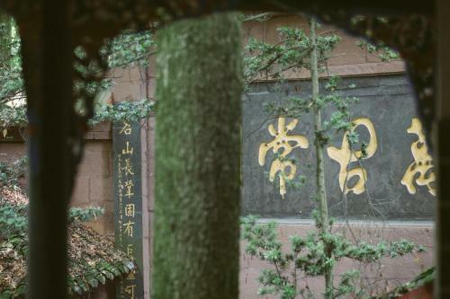 Posada Qingchengshan Yuanming Palace