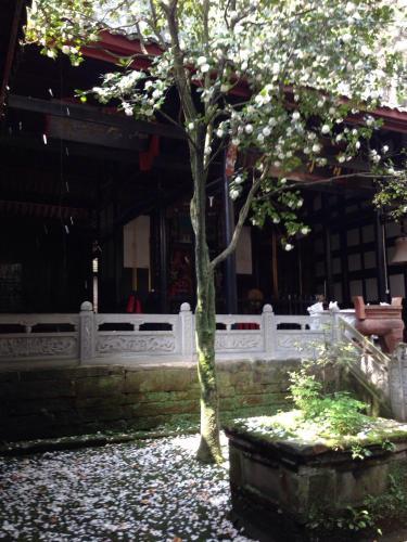 Posada Qingchengshan Yuanming Palace