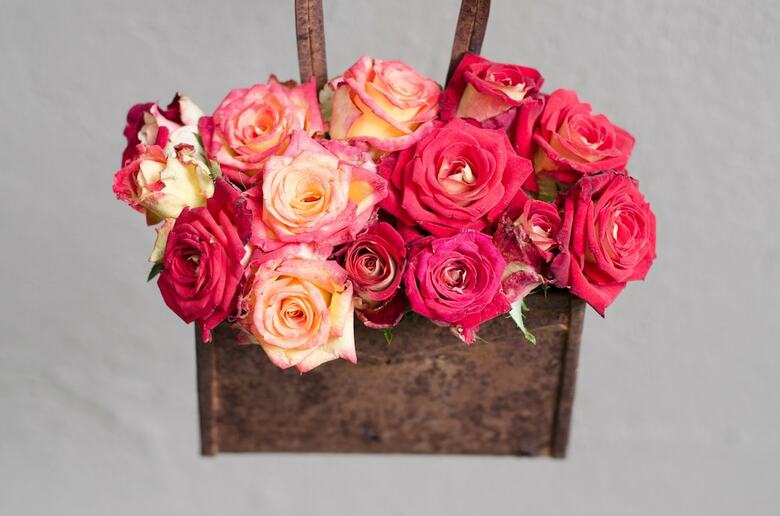 Posada Summerfields Rose Retreat & Spa