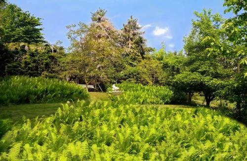 Hotel Garni