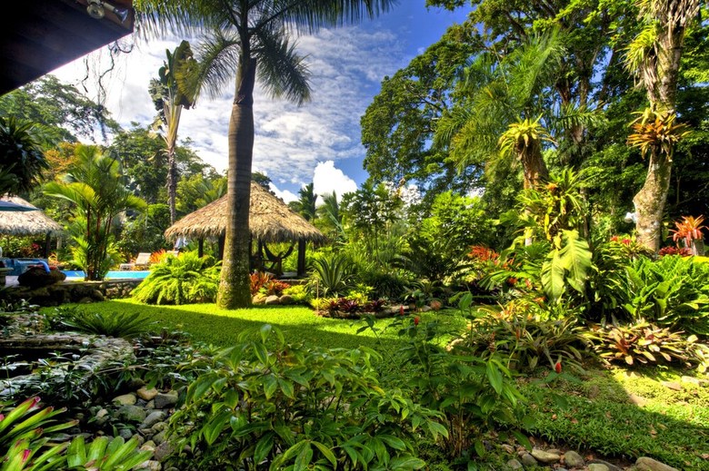 Posada Hotel Banana Azul - Adults Only