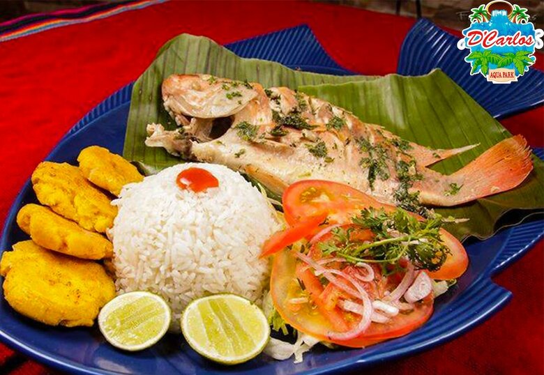 Hotel Hoster�a D'carlos