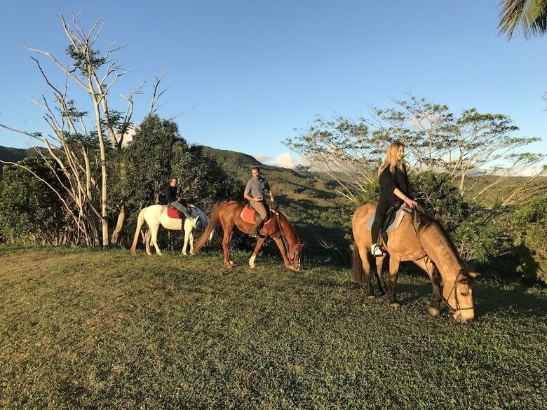 Agroturismo La Vieille Cheminee
