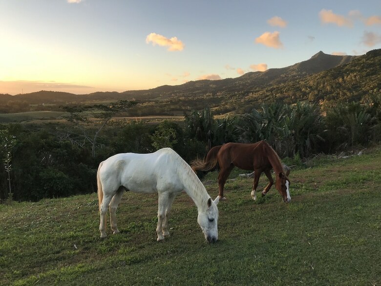 Agroturismo La Vieille Cheminee