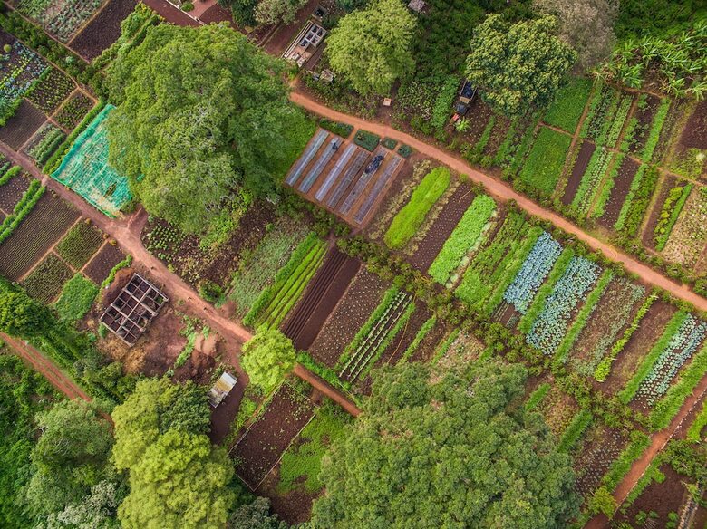Posada Gibb's Farm