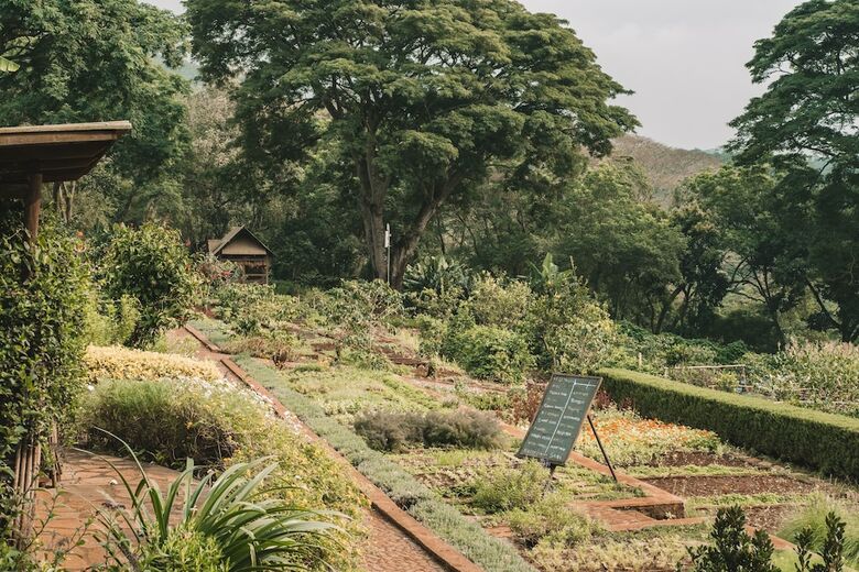 Posada Gibb's Farm