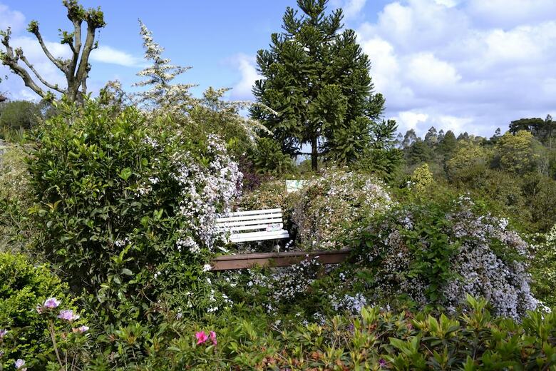 Hotel Bangal�s Da Serra