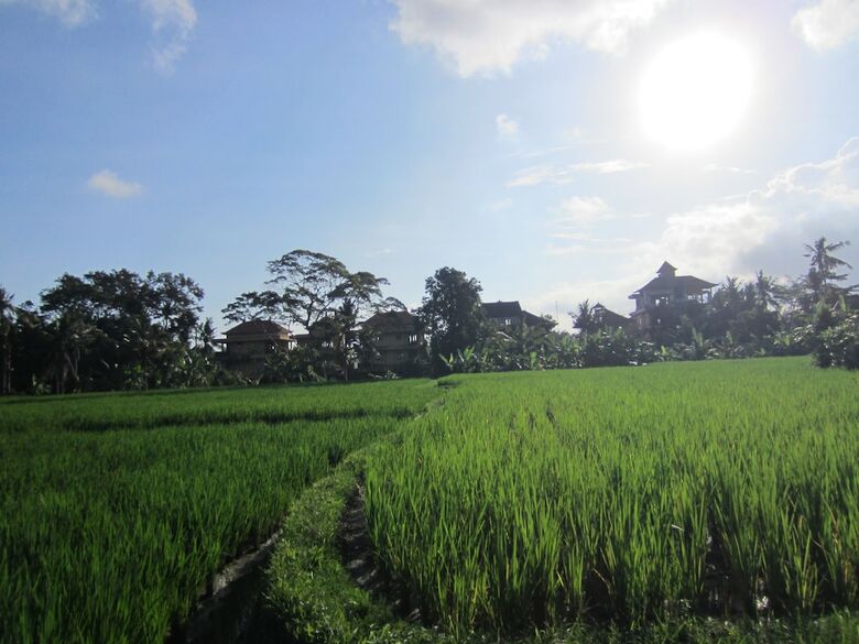 Hotel Danasari Homestay