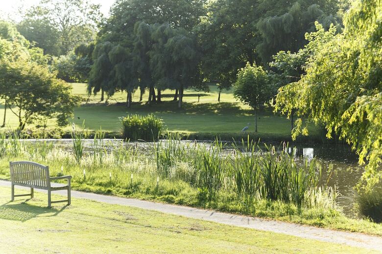 Hotel Champneys Springs