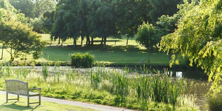 Hotel Champneys Springs