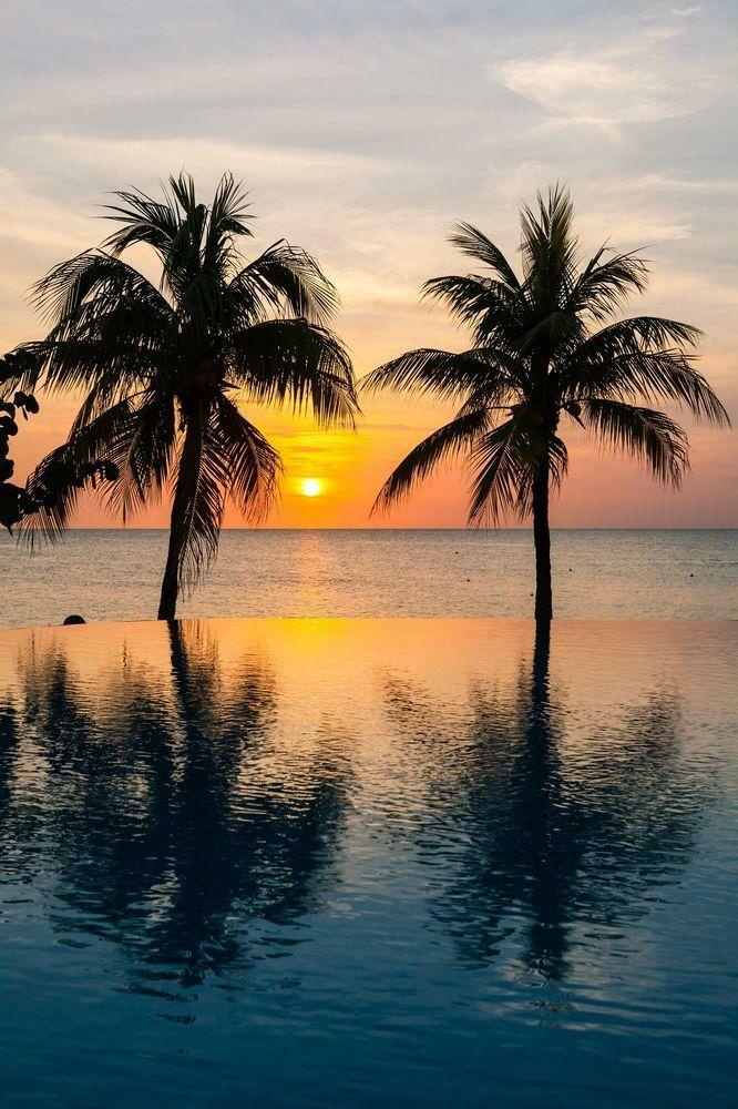 Hotel Grand Roatan Caribbean Resort