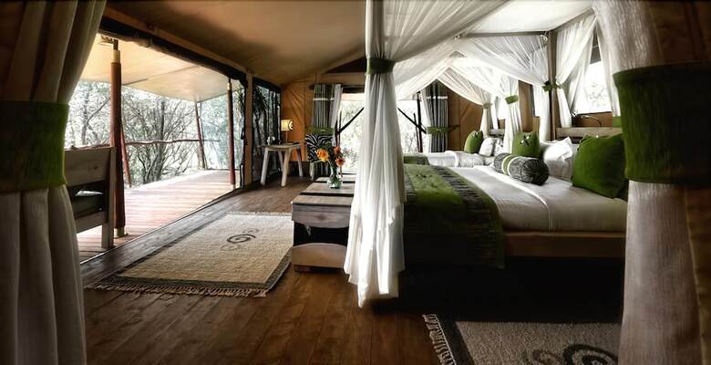 Mara Bush Camp - Private Wing