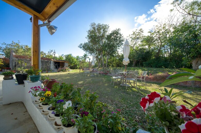 Bed & Breakfast Baisha31