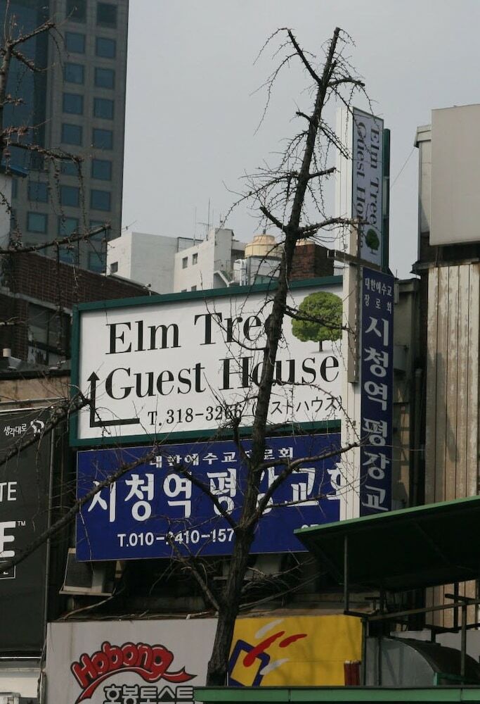 Hotel Elm Tree Guest House Myeongdong