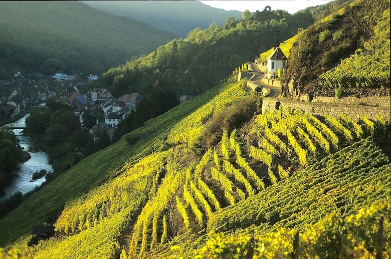 Le Domaine Du Mongade By Popinns