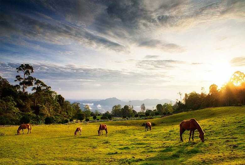 Apartamento Borneo Highlands Resort