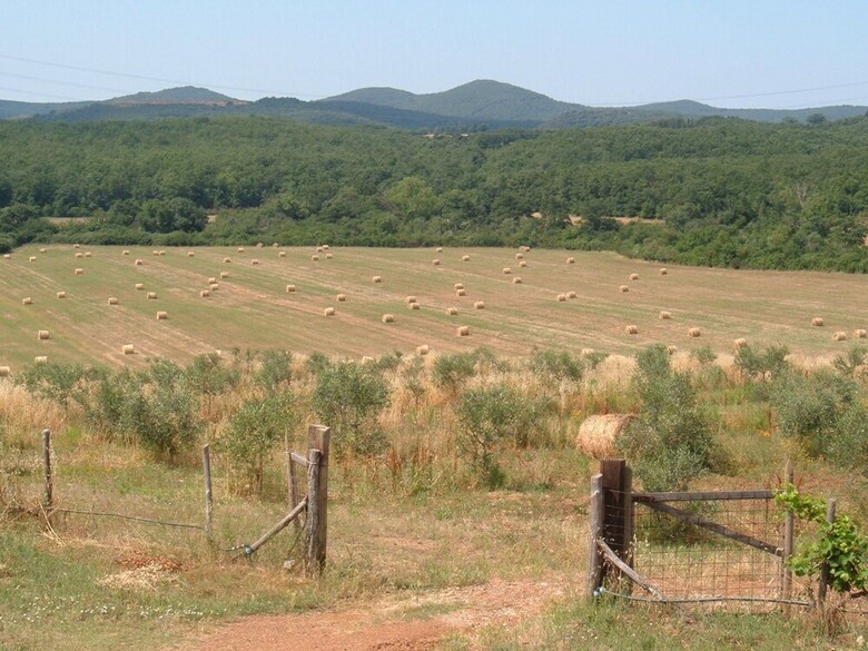 Agroturismo Borgognano Farm House