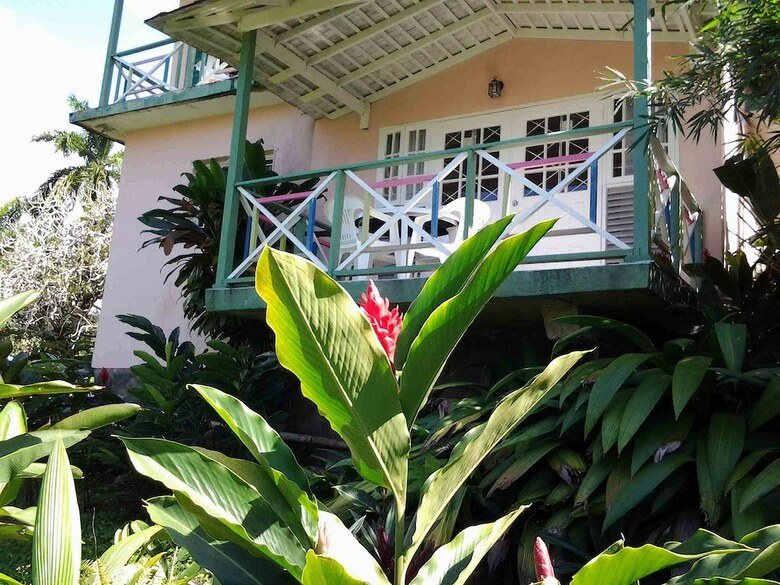 Hotel Rio Vista Resort